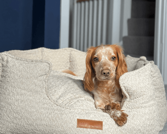 THE COTSWOLD | LUXURY BOUCLE BED - Pet Supplier Store