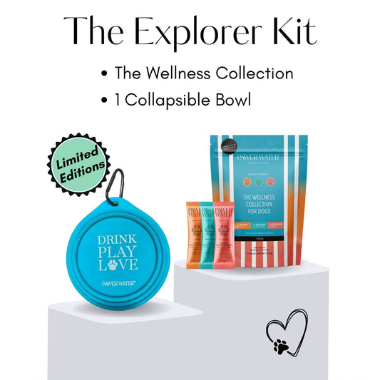 The Explorer Kit - Pet Supplier Store