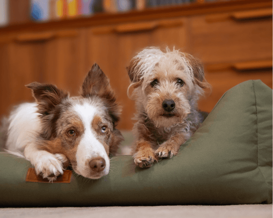 THE HENLEY | LUXURY WATERPROOF BED - Pet Supplier Store