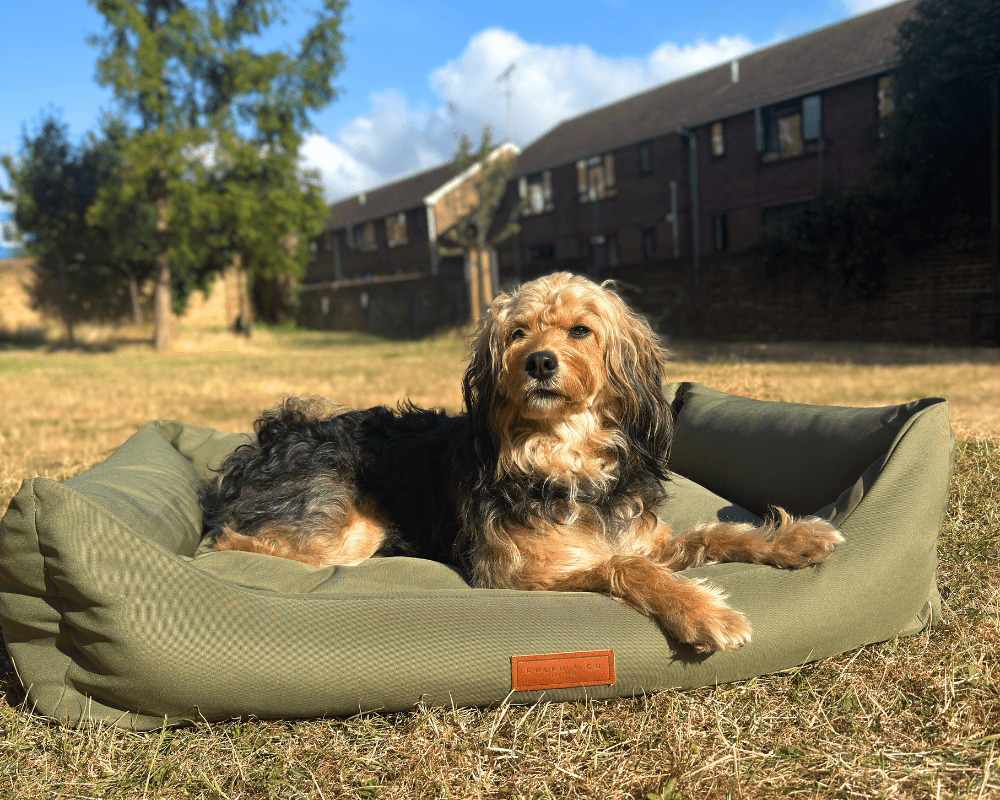 THE HENLEY | LUXURY WATERPROOF BED - Pet Supplier Store