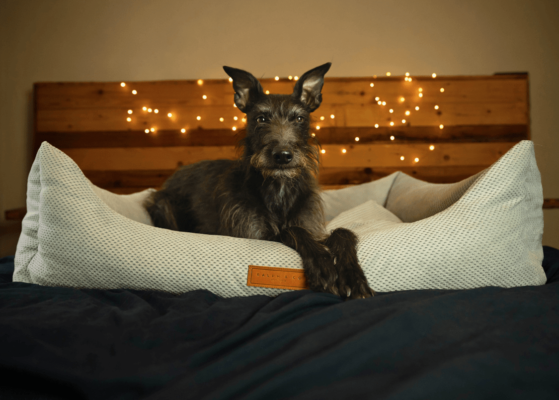 THE HIGHCLERE | LUXURY MEMORY FOAM BED - Pet Supplier Store