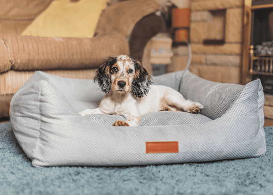 THE HIGHCLERE | LUXURY MEMORY FOAM BED - Pet Supplier Store