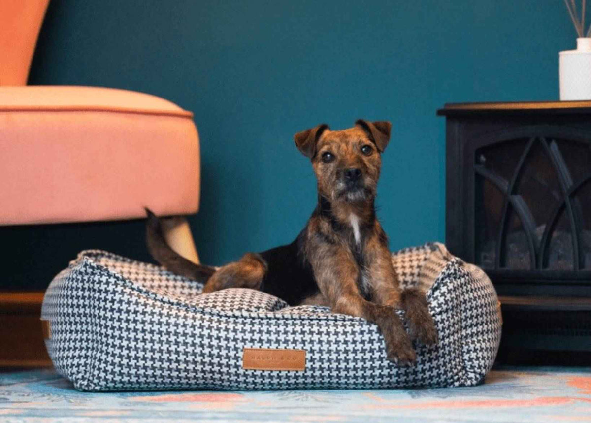 THE KENSINGTON | LUXURY HOUNDSTOOTH BED - Pet Supplier Store
