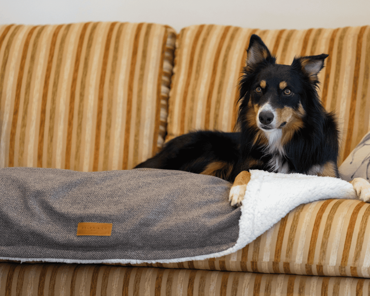 THE LINCOLN | LUXURY PILLOW BED - Pet Supplier Store