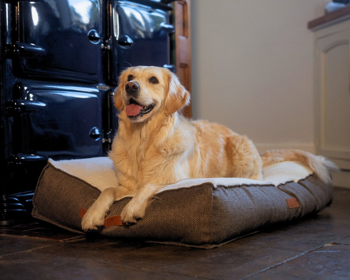 THE LINCOLN | LUXURY PILLOW BED - Pet Supplier Store