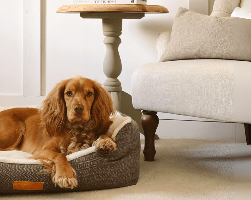 The Lincoln | Luxury Tweed Bed - Pet Supplier Store