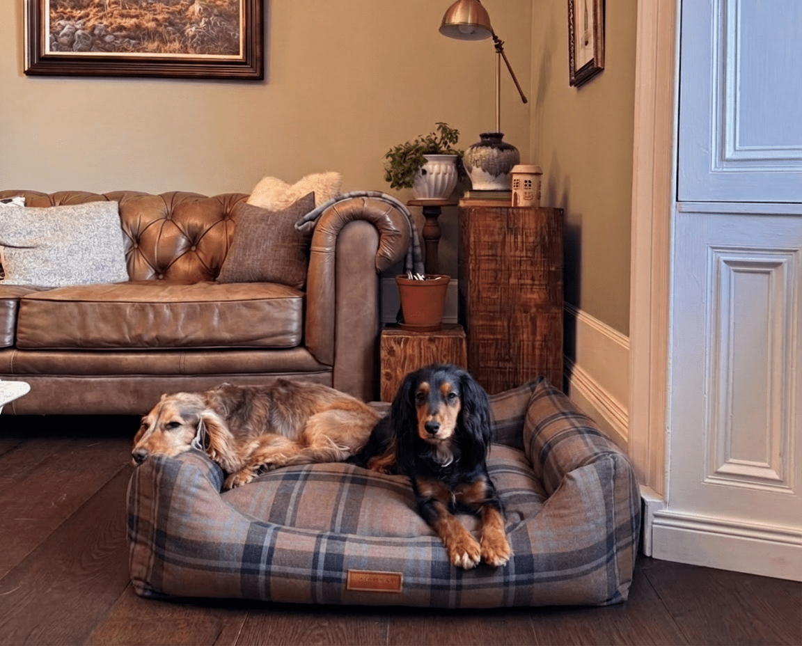 THE MARLOW | LUXURY TARTAN BED - Pet Supplier Store