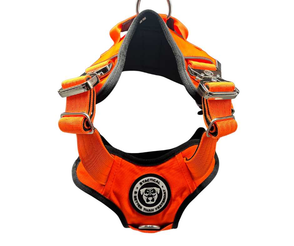 The No Pull Ultimate BTactical Harness | Citrus Orange - Pet Supplier Store