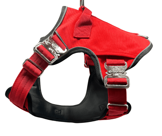 The No Pull Ultimate BTactical Harness | Citrus Red - Pet Supplier Store