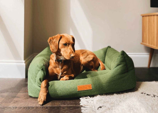 THE RICHMOND | LUXURY GREEN BED - Pet Supplier Store