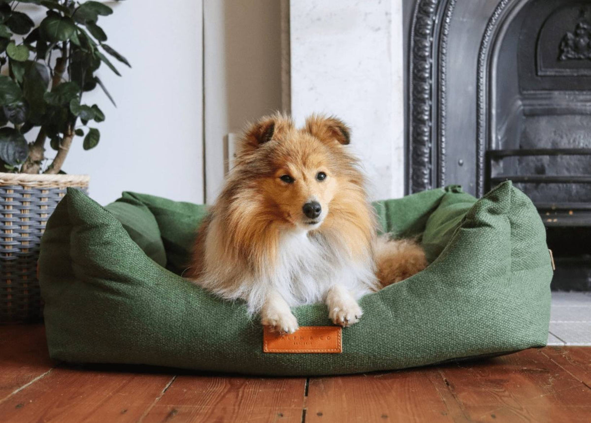 THE RICHMOND | LUXURY GREEN BED - Pet Supplier Store