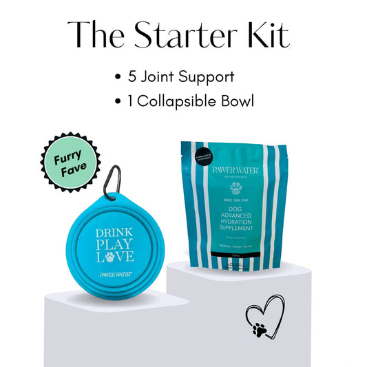 The Starter Pack - Pet Supplier Store