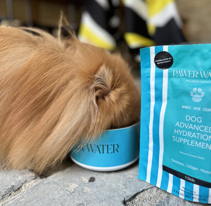 The Starter Pack - Pet Supplier Store
