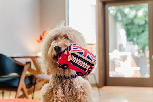 Canine Commute London Bus dog toy
