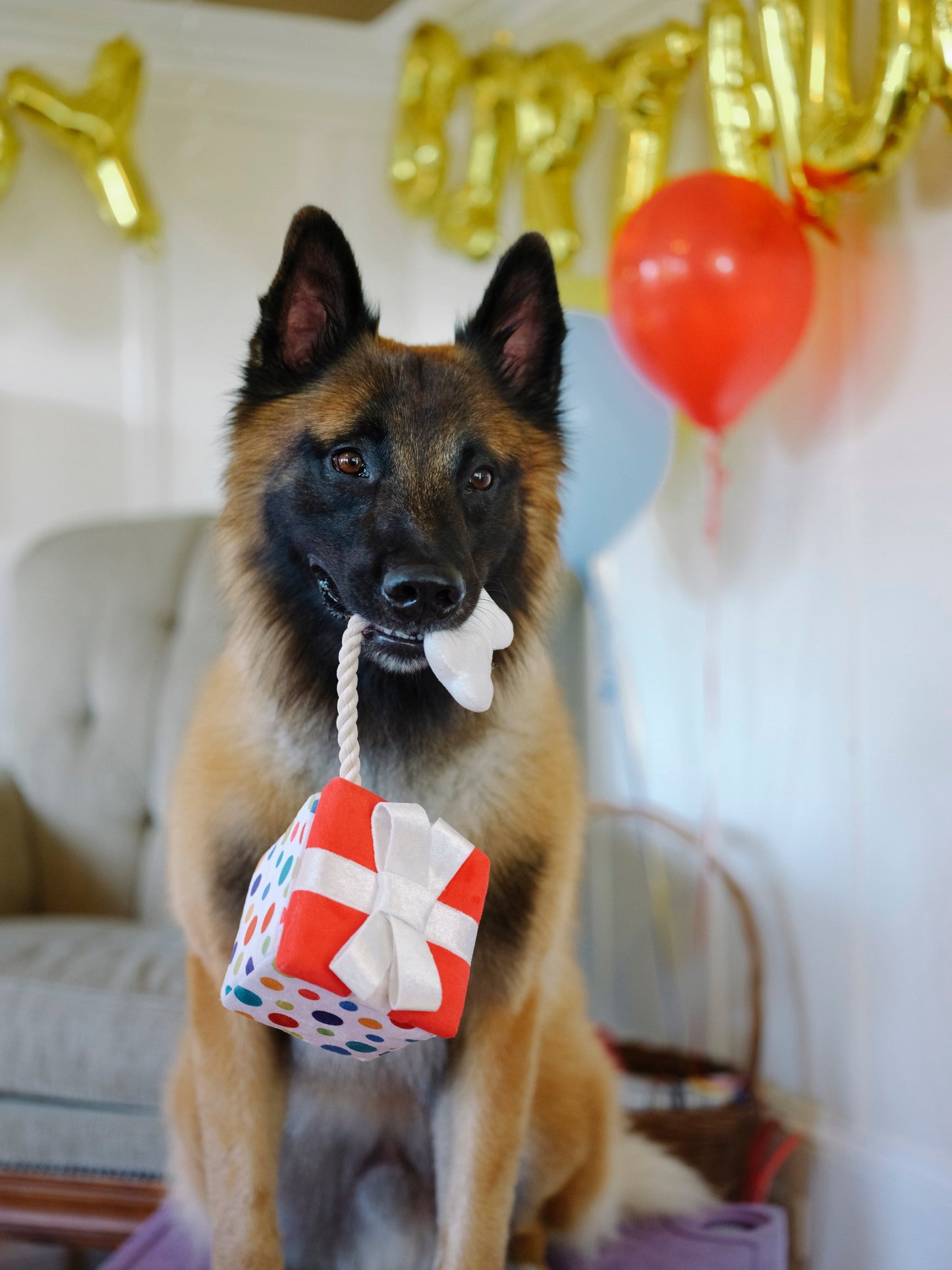 Party Time Pawfect Present Plush Dog Toy