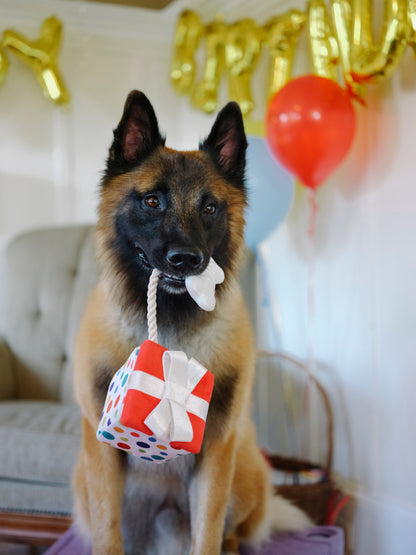 Party Time Pawfect Present Plush Dog Toy
