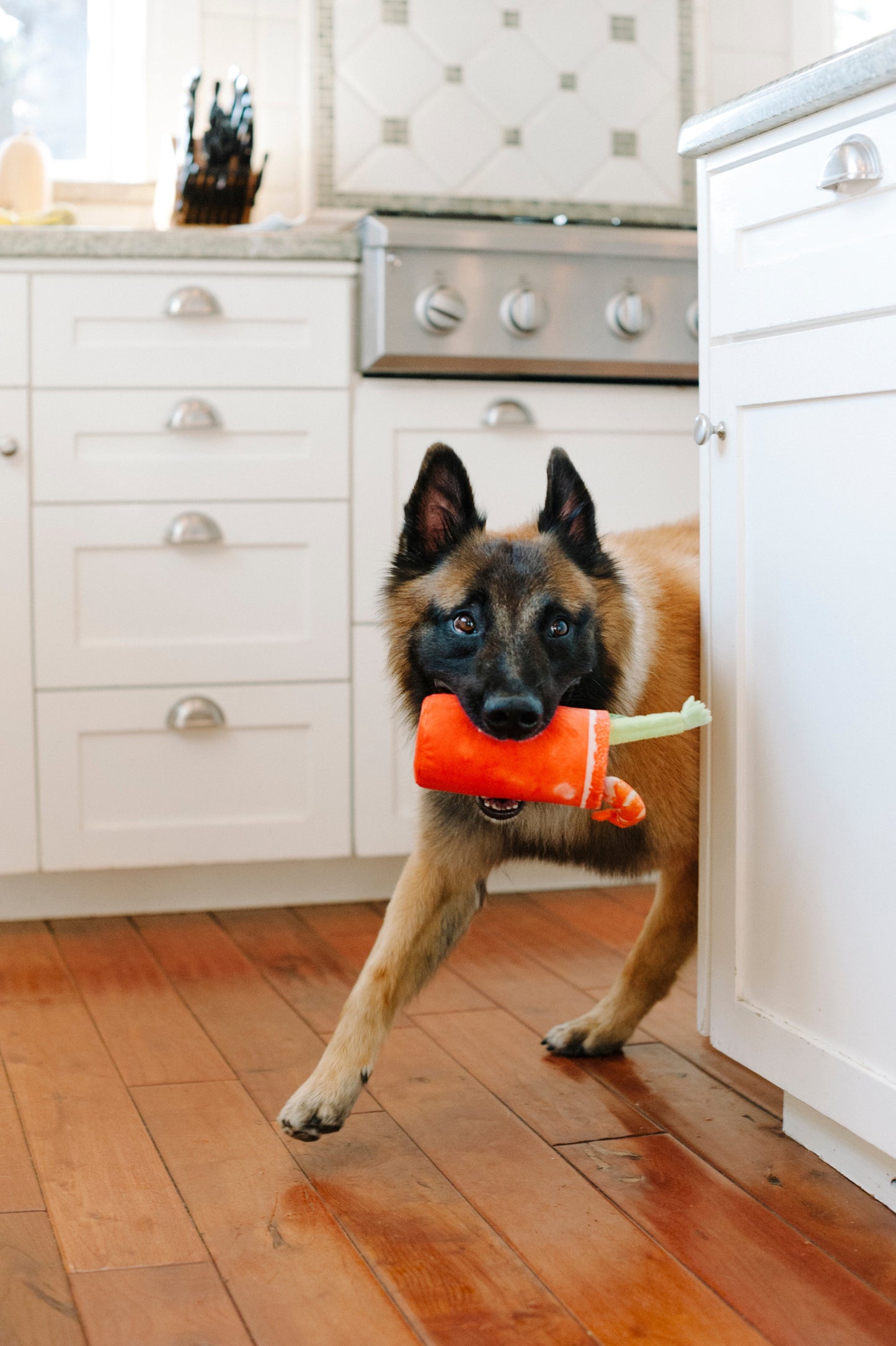 Barking Brunch Buddy Mary Plush Dog Toy