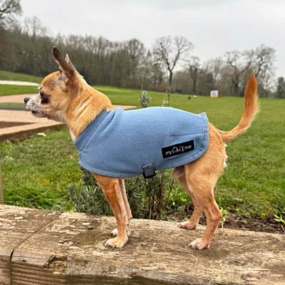 Tiny Toastie Water Repellent Fleece Dog Coat by My Chi and Me Dusky Blue - Pet Supplier Store
