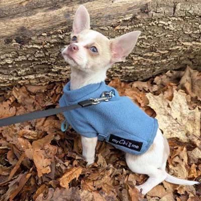 Tiny Toastie Water Repellent Fleece Dog Coat by My Chi and Me Dusky Blue - Pet Supplier Store