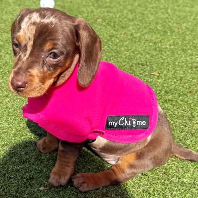 Tiny Toastie Water Repellent Fleece Dog Coat by My Chi and Me Hot Pink - Pet Supplier Store