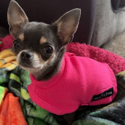 Tiny Toastie Water Repellent Fleece Dog Coat by My Chi and Me Hot Pink - Pet Supplier Store