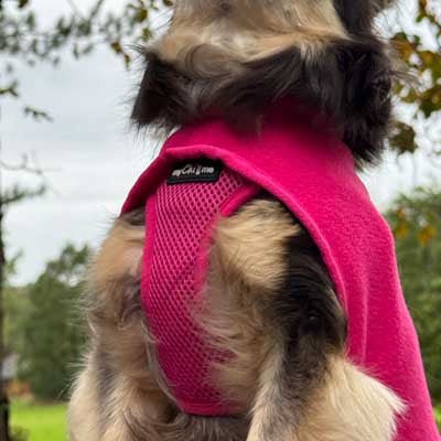 Tiny Toastie Water Repellent Fleece Dog Coat by My Chi and Me Hot Pink - Pet Supplier Store