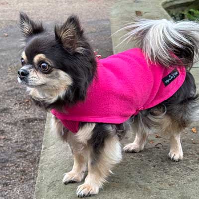 Tiny Toastie Water Repellent Fleece Dog Coat by My Chi and Me Hot Pink - Pet Supplier Store