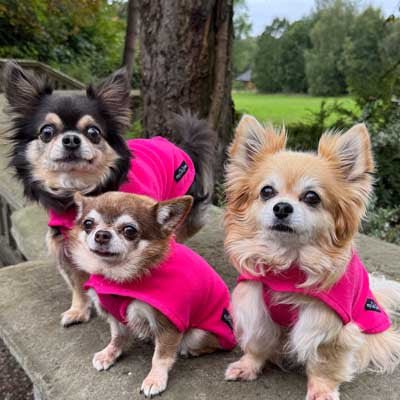 Tiny Toastie Water Repellent Fleece Dog Coat by My Chi and Me Hot Pink - Pet Supplier Store