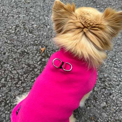 Tiny Toastie Water Repellent Fleece Dog Coat by My Chi and Me Hot Pink - Pet Supplier Store