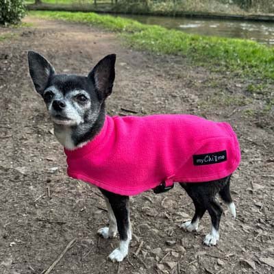 Tiny Toastie Water Repellent Fleece Dog Coat by My Chi and Me Hot Pink - Pet Supplier Store