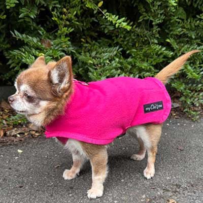 Tiny Toastie Water Repellent Fleece Dog Coat by My Chi and Me Hot Pink - Pet Supplier Store