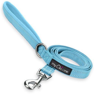 Tiny Trails Reflective 15mm Webbing Lead with Neoprene Handle Lining Baby Blue - Pet Supplier Store