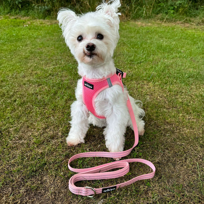 Tiny Trails Reflective 15mm Webbing Lead with Neoprene Handle Lining Pink - Pet Supplier Store