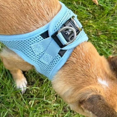 Tiny Trails Step In Air Mesh Puppy and Small Dog Harness Baby Blue - Pet Supplier Store