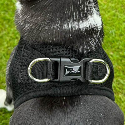 Tiny Trails Step In Air Mesh Puppy and Small Dog Harness Black - Pet Supplier Store