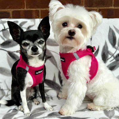 Tiny Trails Step In Air Mesh Puppy and Small Dog Harness Hot Pink - Pet Supplier Store