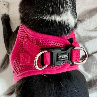 Tiny Trails Step In Air Mesh Puppy and Small Dog Harness Hot Pink - Pet Supplier Store