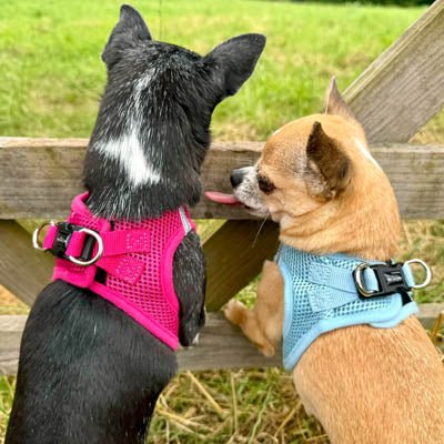 Tiny Trails Step In Air Mesh Puppy and Small Dog Harness Hot Pink - Pet Supplier Store