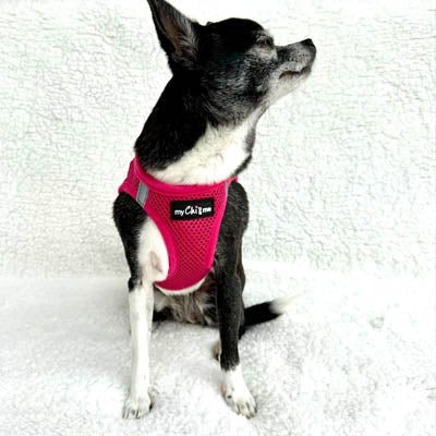 Tiny Trails Step In Air Mesh Puppy and Small Dog Harness Hot Pink - Pet Supplier Store