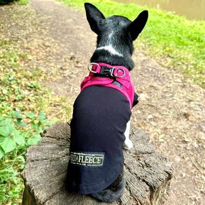 Tiny Trails Step In Air Mesh Puppy and Small Dog Harness Hot Pink - Pet Supplier Store