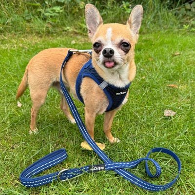 Tiny Trails Step In Air Mesh Puppy and Small Dog Harness Navy - Pet Supplier Store
