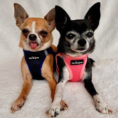 Tiny Trails Step In Air Mesh Puppy and Small Dog Harness Pink - Pet Supplier Store