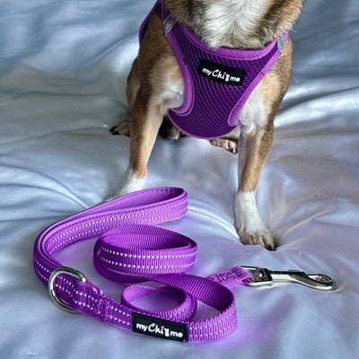Tiny Trails Step In Air Mesh Puppy and Small Dog Harness Purple - Pet Supplier Store