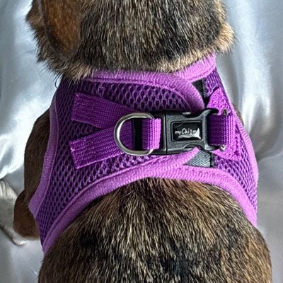 Tiny Trails Step In Air Mesh Puppy and Small Dog Harness Purple - Pet Supplier Store