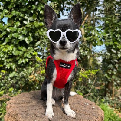 Tiny Trails Step In Air Mesh Puppy and Small Dog Harness Red - Pet Supplier Store