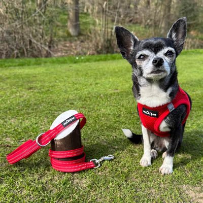 Tiny Trails Step In Air Mesh Puppy and Small Dog Harness Red - Pet Supplier Store