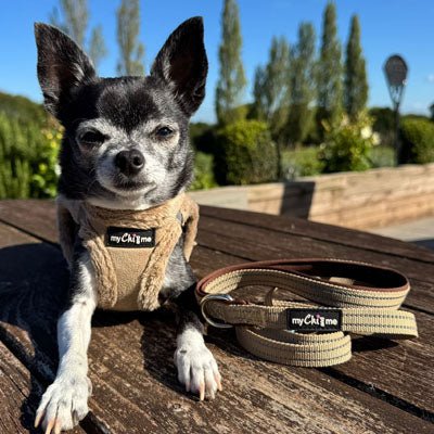 Tiny Trails Step In Soft Touch Suede Effect Faux Fur Lined Puppy and Small Dog Harness Caramel - Pet Supplier Store