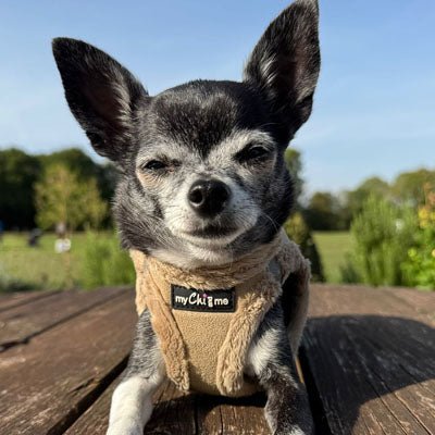Tiny Trails Step In Soft Touch Suede Effect Faux Fur Lined Puppy and Small Dog Harness Caramel - Pet Supplier Store