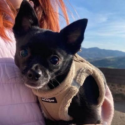Tiny Trails Step In Soft Touch Suede Effect Faux Fur Lined Puppy and Small Dog Harness Caramel - Pet Supplier Store