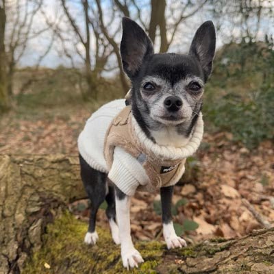 Tiny Trails Step In Soft Touch Suede Effect Faux Fur Lined Puppy and Small Dog Harness Caramel - Pet Supplier Store